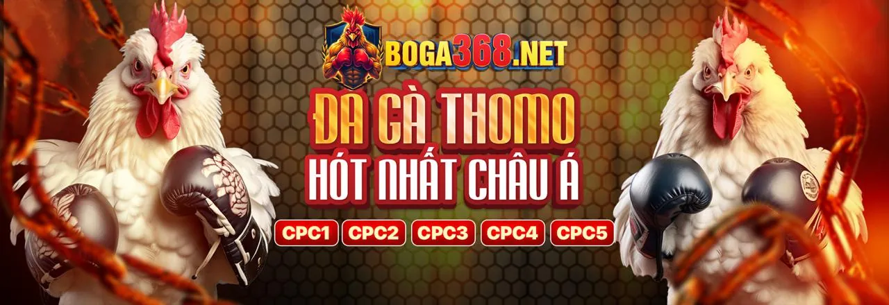 Phân tích thị trường cá cược trực tuyến TF88 Link